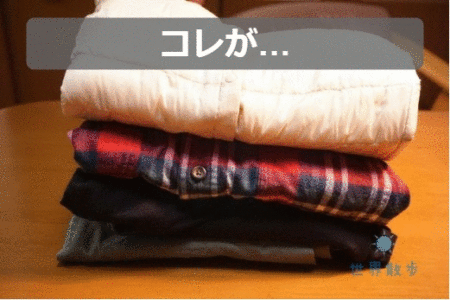 トラベラブ圧縮バッグ