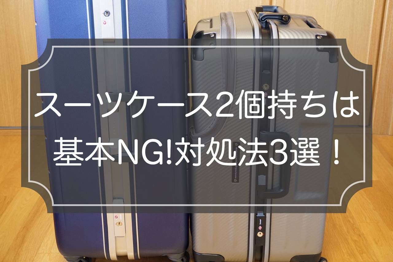 現役ガイド解説 スーツケース2個持ちは基本ng 対策方法3選 世界散歩