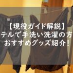 【現役ガイド解説】ホテルで手洗い洗濯の方法&神グッズ4選